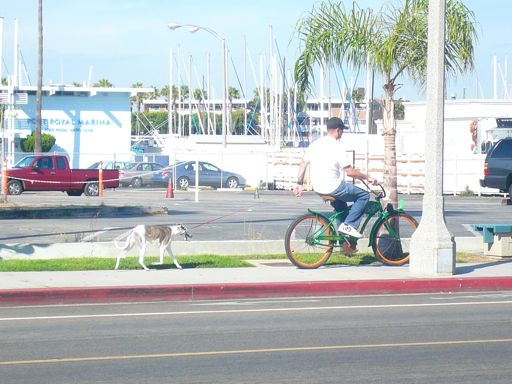 アメリカのママチャリは 自転車生活入門