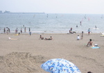IMG_6001.jpg